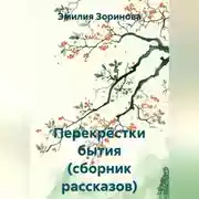 Постер книги Перекрёстки бытия (сборник рассказов)