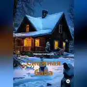 Постер книги Снежная баба