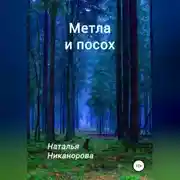 Постер книги Метла и посох