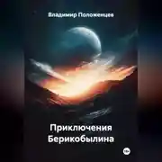 Постер книги Приключения Берикобылина