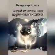 Постер книги Случай из жизни двух друзей-парапсихологов