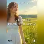 Постер книги Пять дней из смерти Лерки