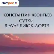 Постер книги Сутки в ауле Биюк-Дортэ