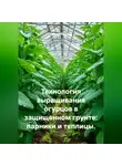 Война Владимир - Технология выращивания огурцов в защищенном грунте: парники и теплицы.
