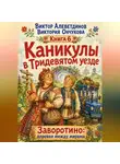 Виктор Алеветдинов - Каникулы в Тридевятом уезде