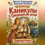 Постер книги Каникулы в Тридевятом уезде