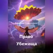 Постер книги Право Убежища