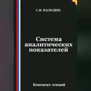 Постер книги Система аналитических показателей
