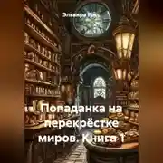 Постер книги Попаданка на перекрёстке миров