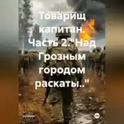 Постер книги Товарищ капитан