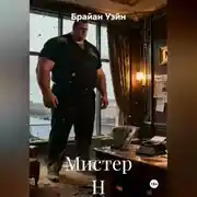 Постер книги Мистер Н