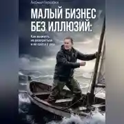 Постер книги МАЛЫЙ БИЗНЕС БЕЗ ИЛЛЮЗИЙ: Как выжить, не разориться и не сойти с ума