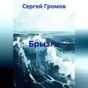 Постер книги Брызги