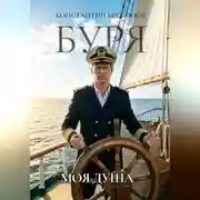Постер книги Буря. Моя душа