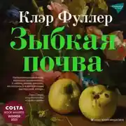 Постер книги Зыбкая почва