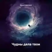 Постер книги Чудны дела твои