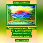 Постер книги Сказка о мудром шахе Наджахе, его сыне принце Юнусе и странных событиях выпавших на их долю