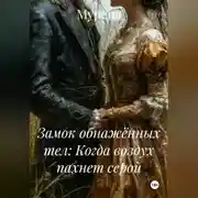 Постер книги Замок обнажённых тел: Когда воздух пахнет серой