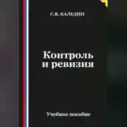 Постер книги Контроль и ревизия