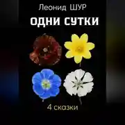 Постер книги Одни сутки