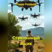 Постер книги Стеклянный ящик
