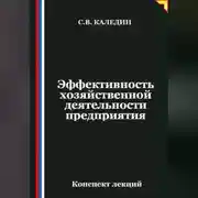 Постер книги Эффективность хозяйственной деятельности предприятия