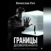 Постер книги Границы дозволенного