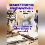 Постер книги Входной билет во взрослую жизнь
