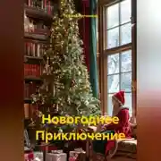 Постер книги Новогоднее Приключение