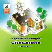 Постер книги Спасатель