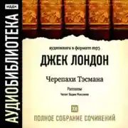 Постер книги Черепахи Тэсмана