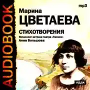 Постер книги Стихотворения. Читает Анна Большова