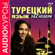 Постер книги Турецкий язык за 2 недели