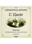 Стефан Цвейг - Невозвратимые мгновения. Новеллы