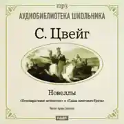 Постер книги Невозвратимые мгновения. Новеллы