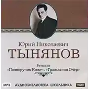 Постер книги Подпоручик Киже. Гражданин Очер