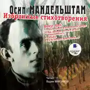 Постер книги Избранные стихотворения