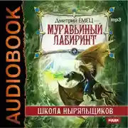 Постер книги Муравьиный лабиринт