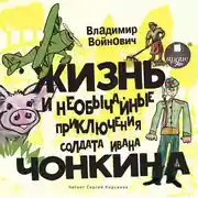 Постер книги Жизнь и необычные приключения солдата Ивана Чонкина