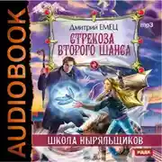 Постер книги Стрекоза второго шанса