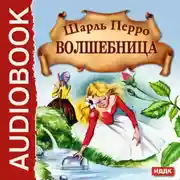 Постер книги Волшебница