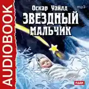 Постер книги Звездный мальчик. Волшебные башмаки (спектакли)