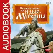 Постер книги Былина про Илью Муромца