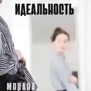 Постер книги Идеальность