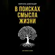 Постер книги В поисках смысла жизни
