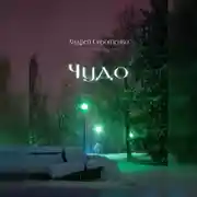 Постер книги Чудо