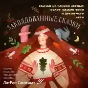 Постер книги Заколдованные сказки