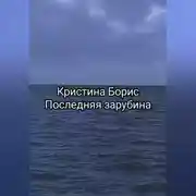Постер книги Последняя зарубина
