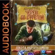 Постер книги Череп со стрелой