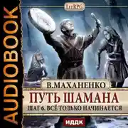 Постер книги Путь Шамана. Все только начинается
